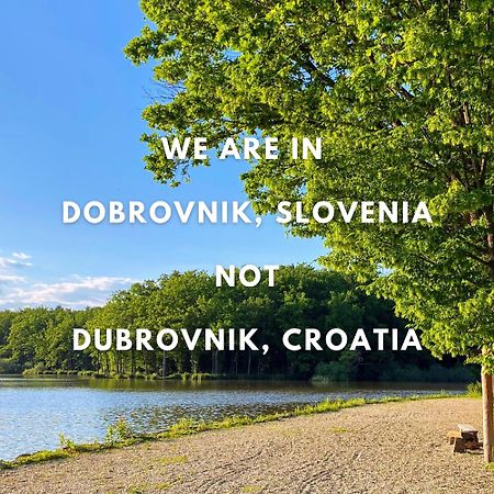 Apartament Pocitniska Hisa Pri Jezeru Dobrovnik Zewnętrze zdjęcie